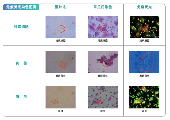 1673343035117499.jpg 1669008718207.jpg